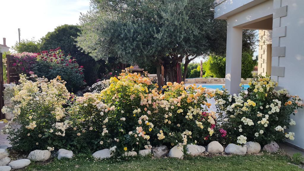 Jaime Villa Cyprus Argaka Luaran gambar