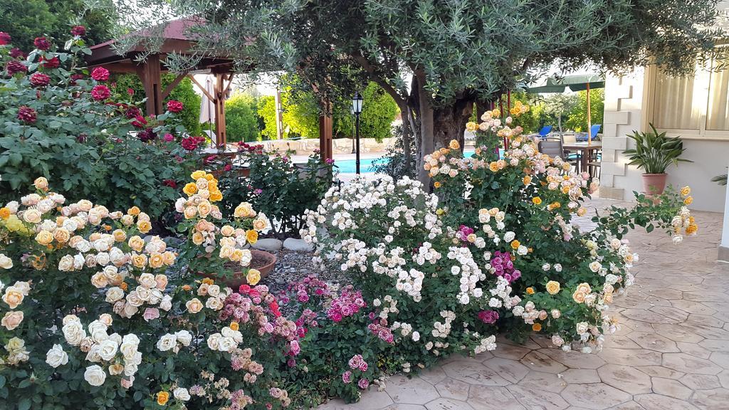 Jaime Villa Cyprus Argaka Luaran gambar