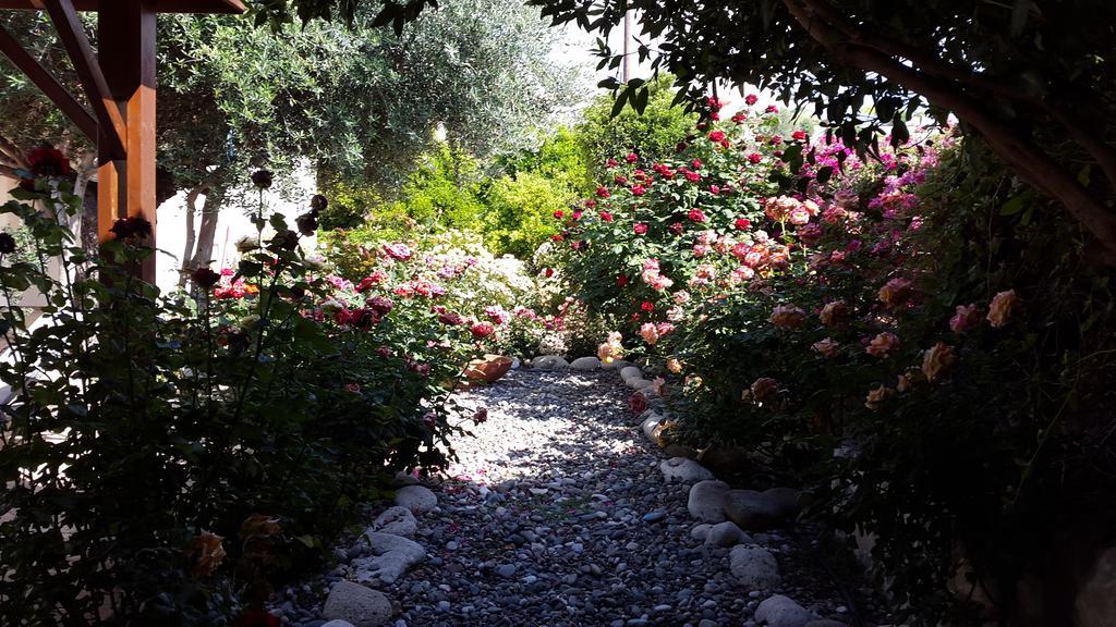 Jaime Villa Cyprus Argaka Luaran gambar